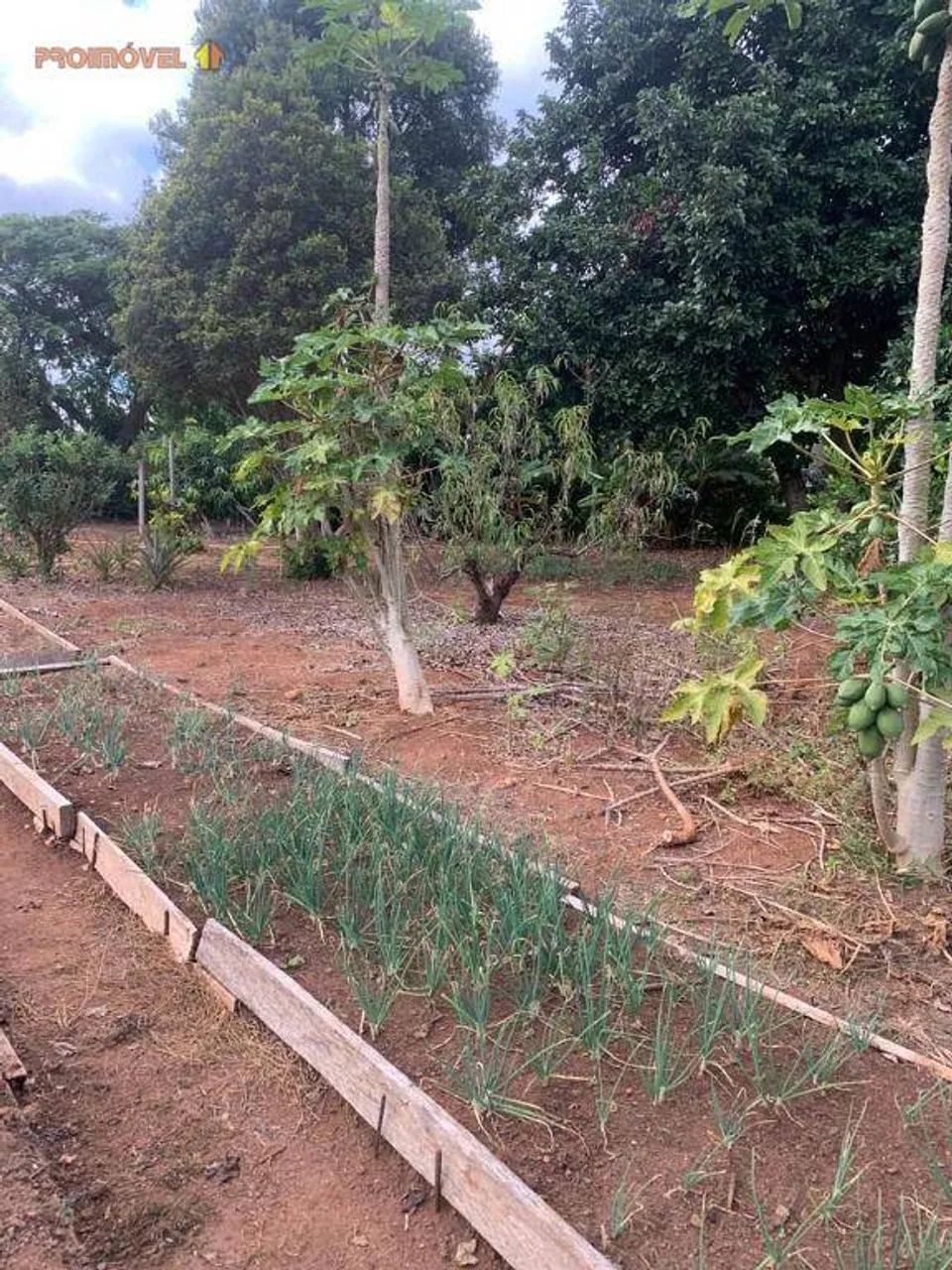 Terreno, Condomínio Primavera - Salto SP - Foto 5