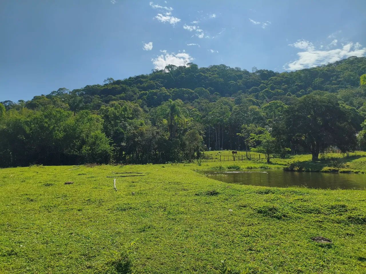 Belíssima Chácara no vila nova  - Foto 5