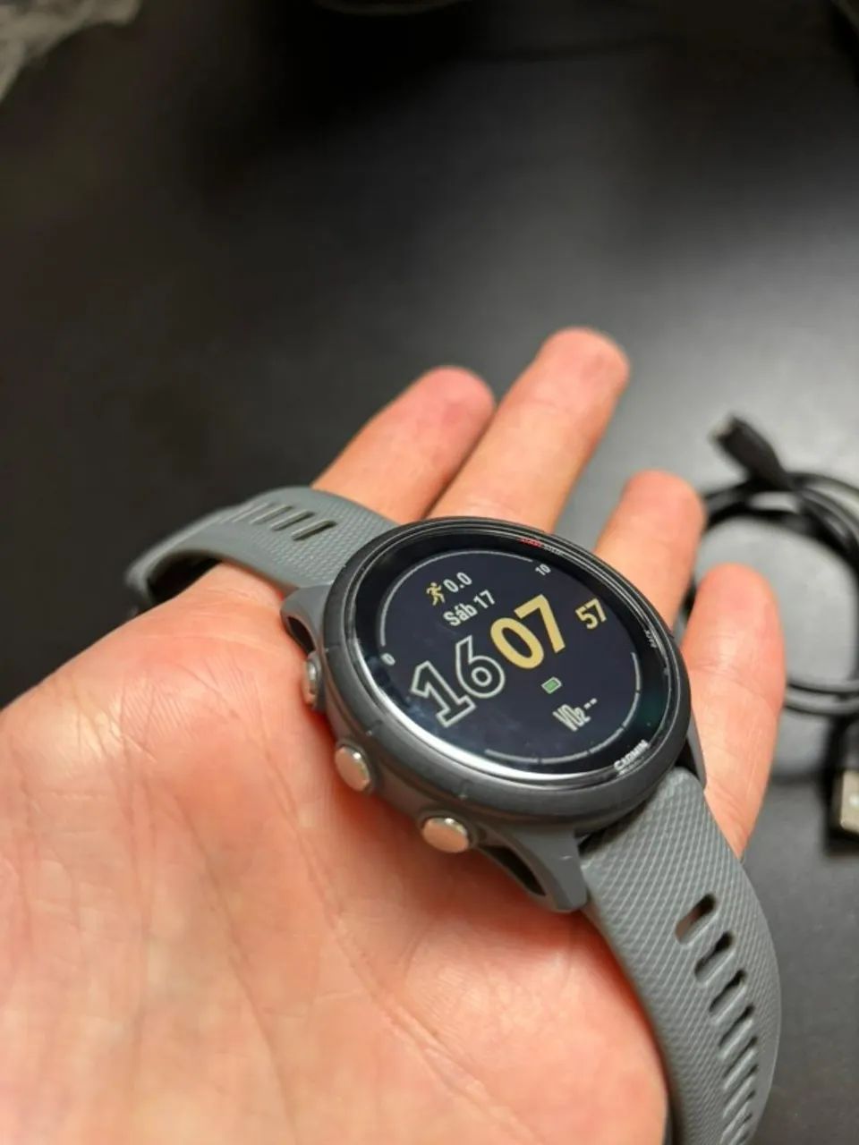 GARMIN FORERUNNER 255 CINZA