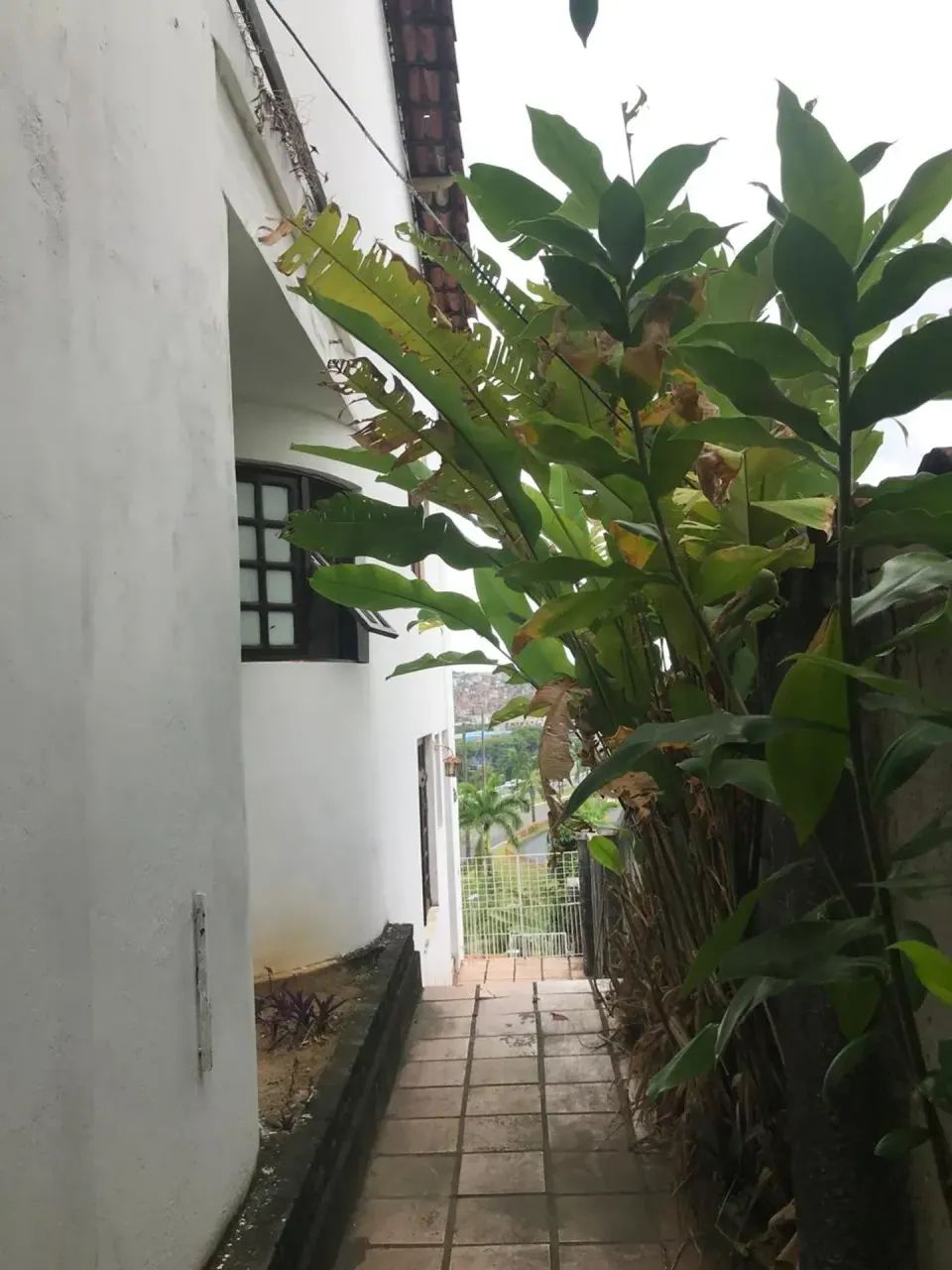 CASA COMERCIAL PARA LOCAÇÃO | PERNAMBUÉS - Foto 4