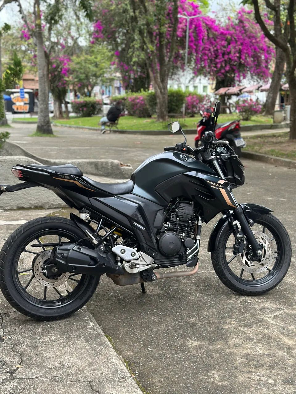 FAZER 250 2024 