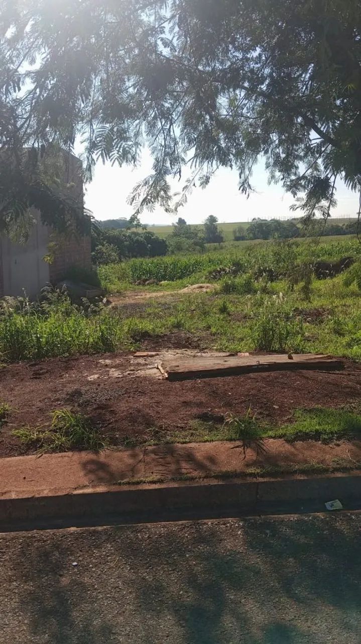 Terreno inteiro a venda ou troca - Foto 3