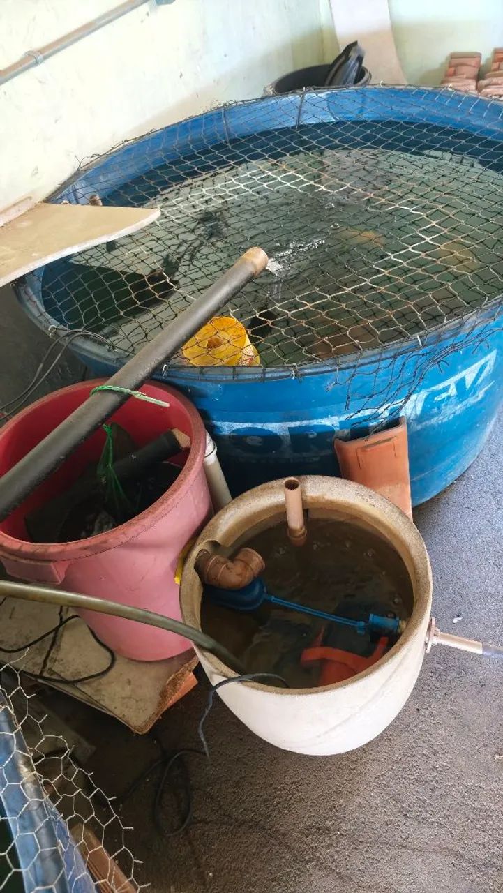 Caixa dagua completa para peixes  - Foto 2