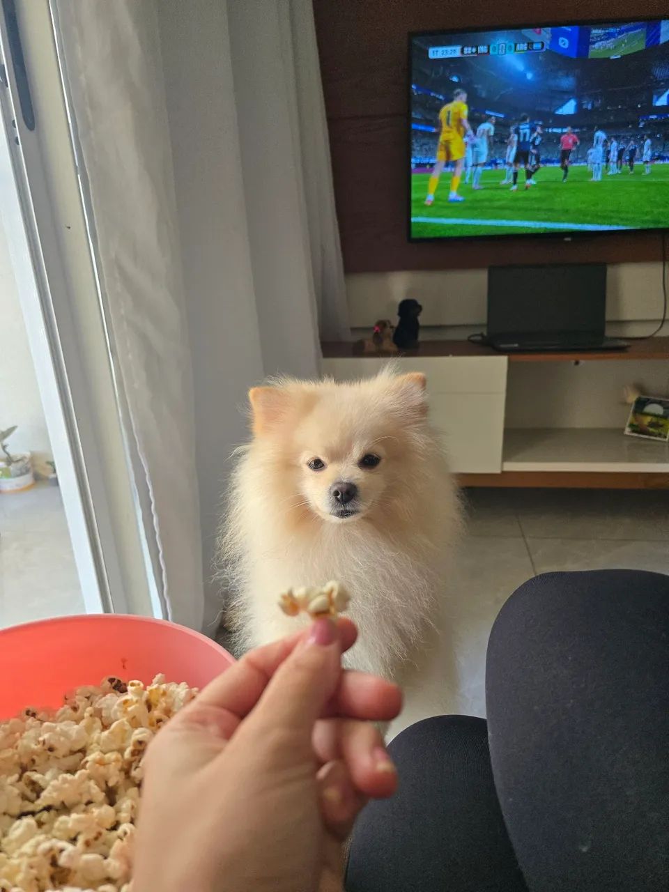 Procurando uma namorada