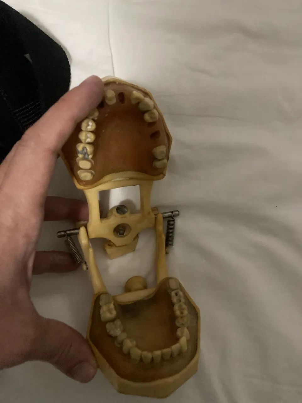 Modelo Odontologia Saúde Dentistica e Prótese  - Foto 3