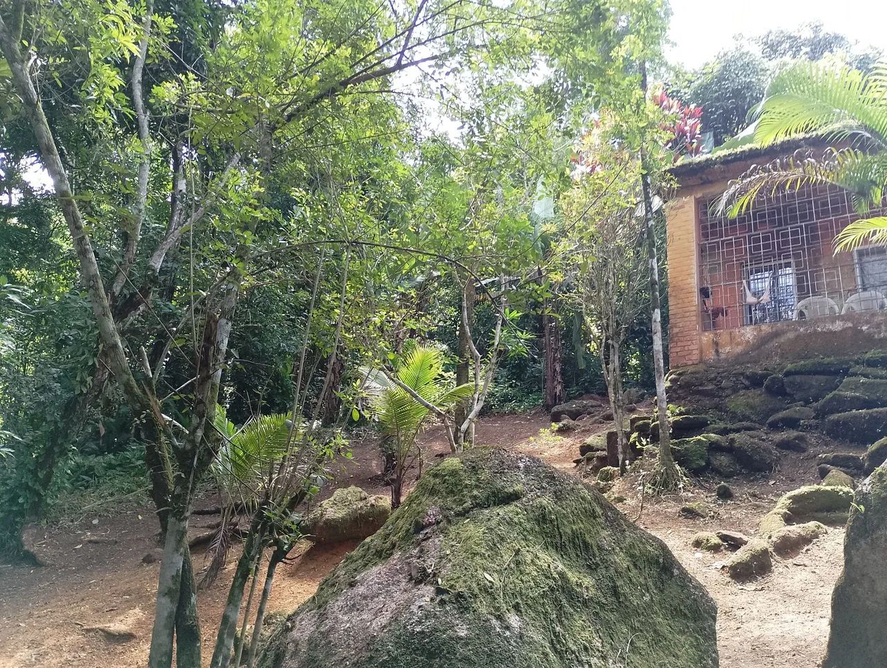 Terreno  - Foto 4