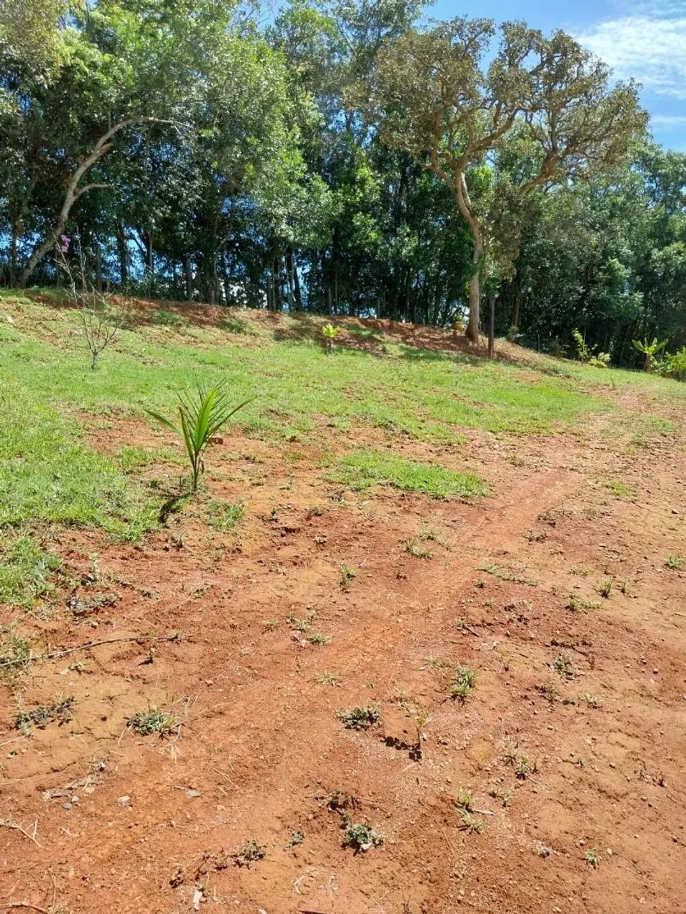 Vende -se chácara com chalé. - Foto 4