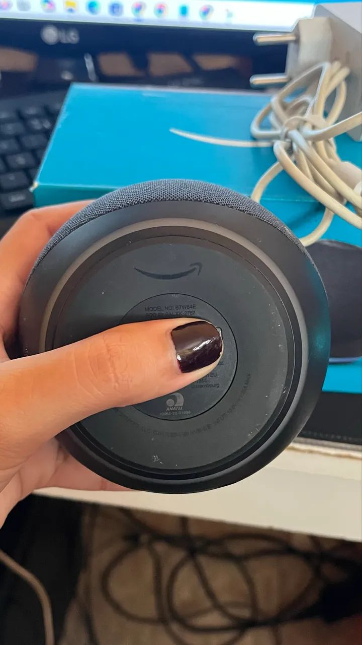Echo dot (Alexa)