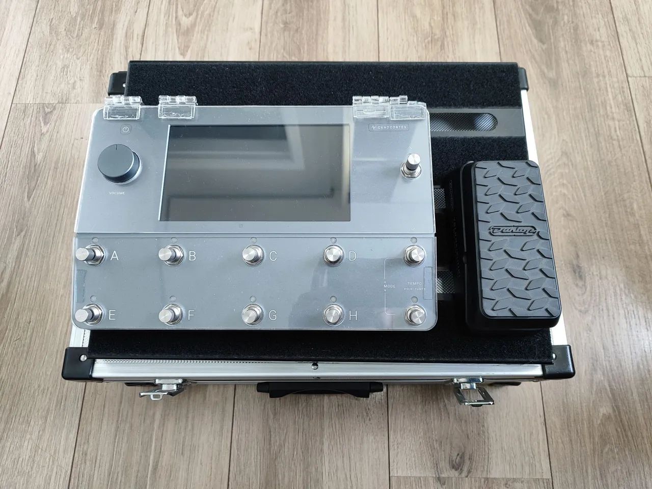 Quad cortex  - Foto 2