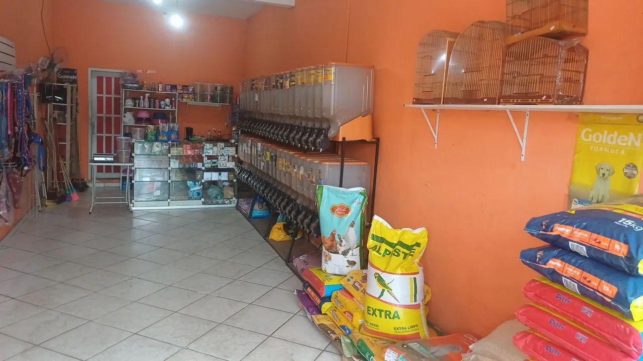  Vendo Dispenser e Paiel. - Foto 4