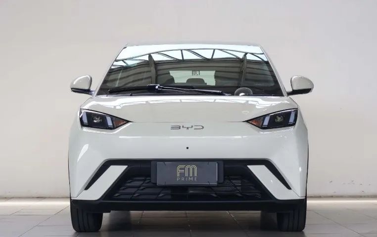 BYD Dolphin Mini (Elétrico) 2027 - Foto 2