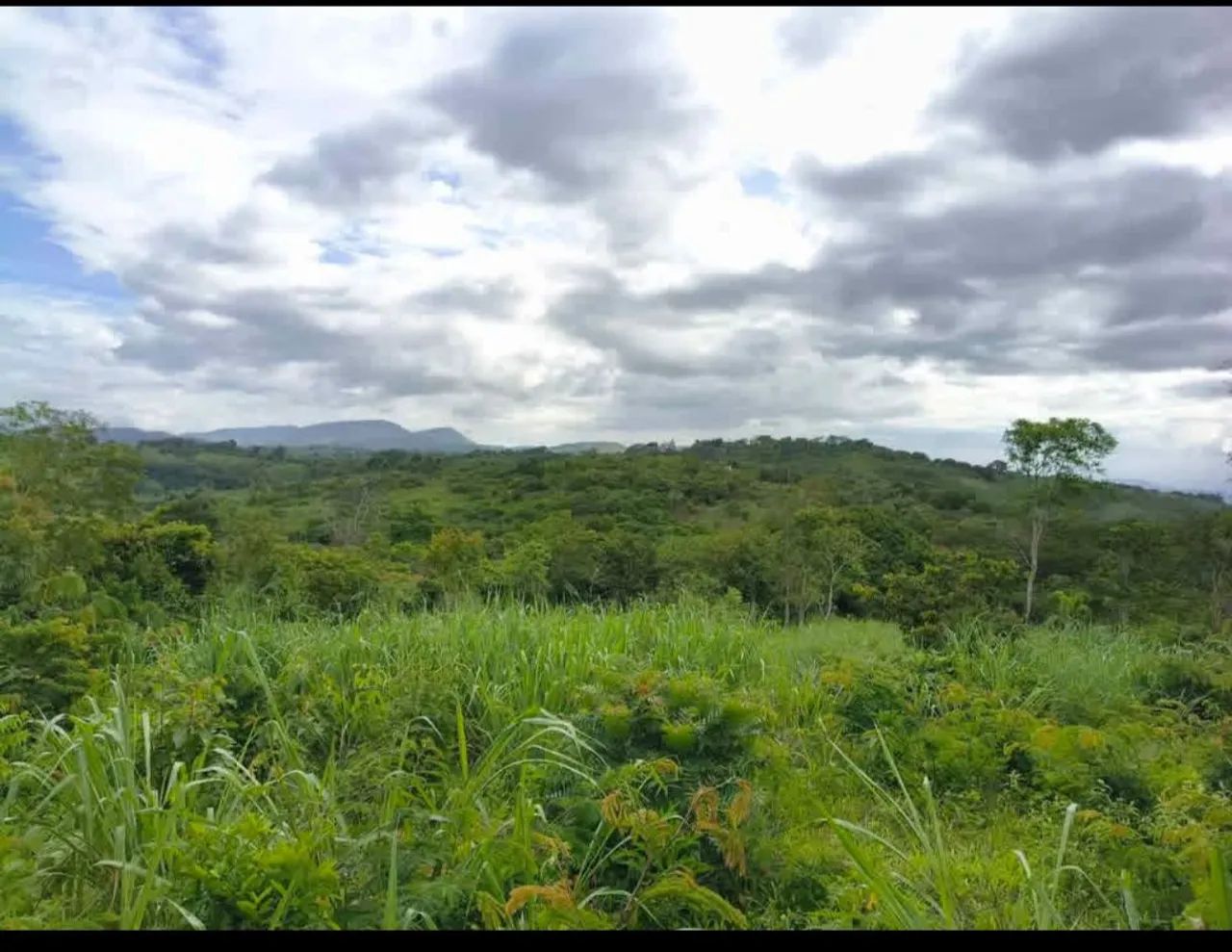 Terreno e lote na serra de mulungu  - Foto 5