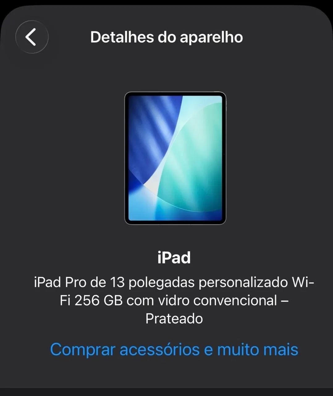 IPAD PRO 13 POLEGADAS PERSONALIZADO 256GB com vidro convencional prateado.