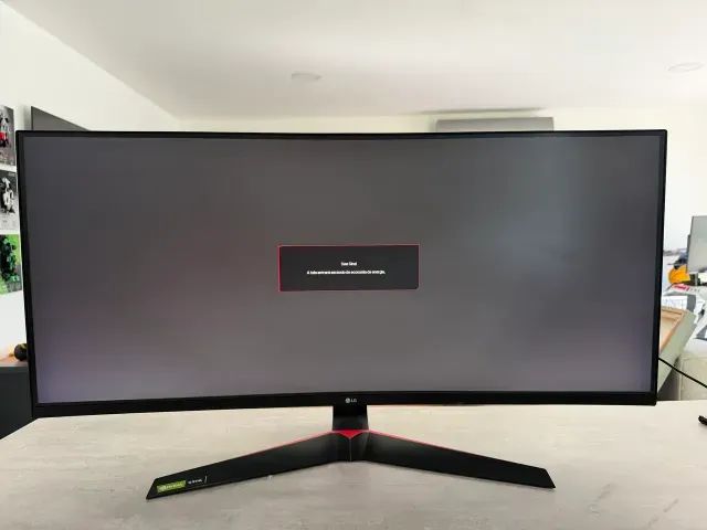 Monitor Gamer LG ULTRAGEAR 34 Polegadas