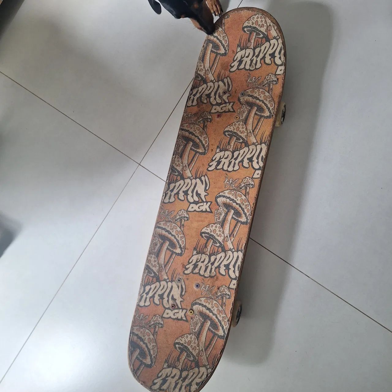 Skate - Foto 3