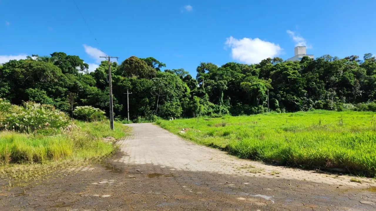 Terreno para Venda em São José, Areias - Foto 15