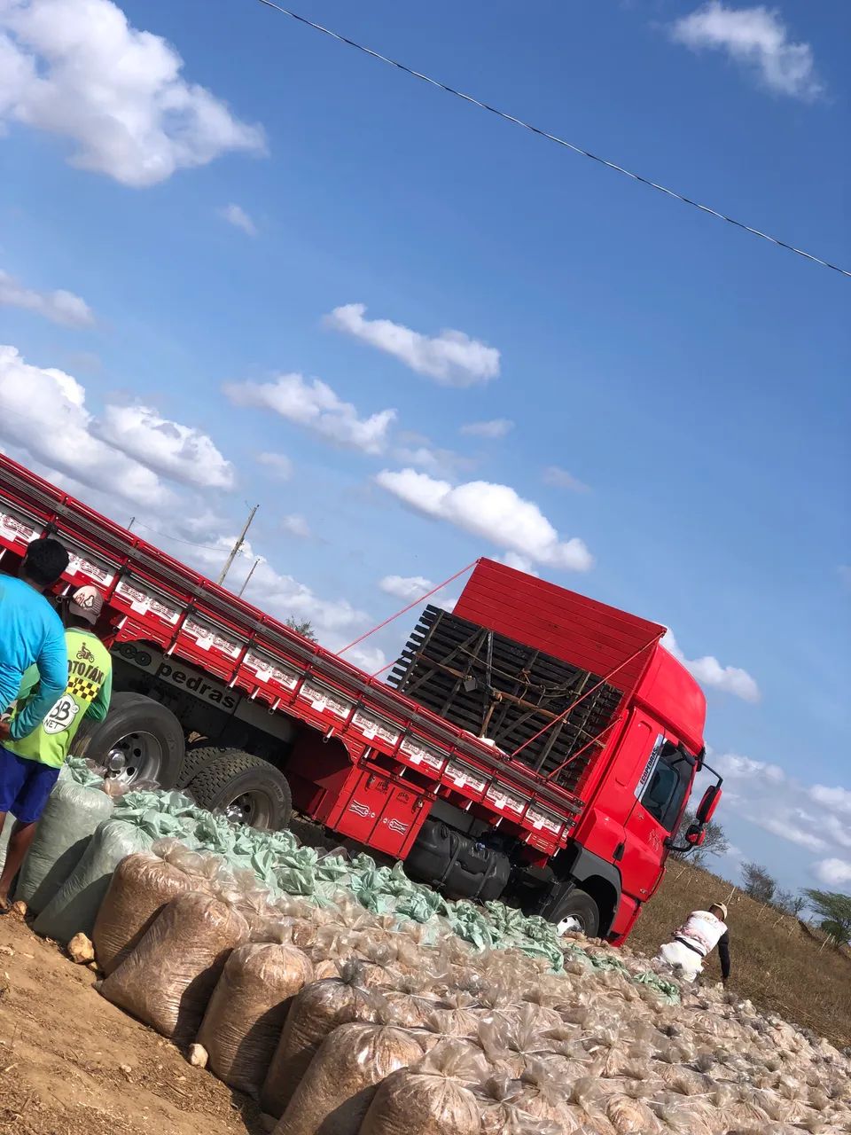 Silagem De Milho ? - Foto 3