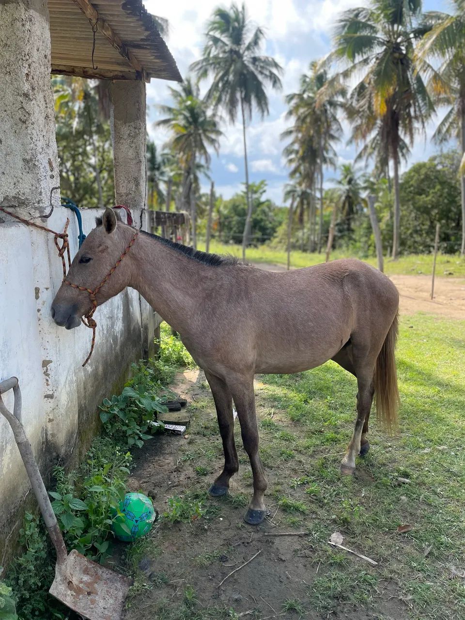 Vendo e troco  - Foto 3