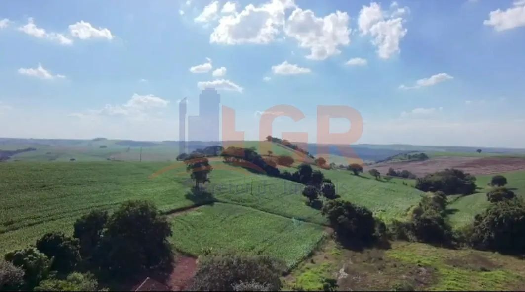 Sítio para Venda em Santa Amélia, Centro - Foto 2