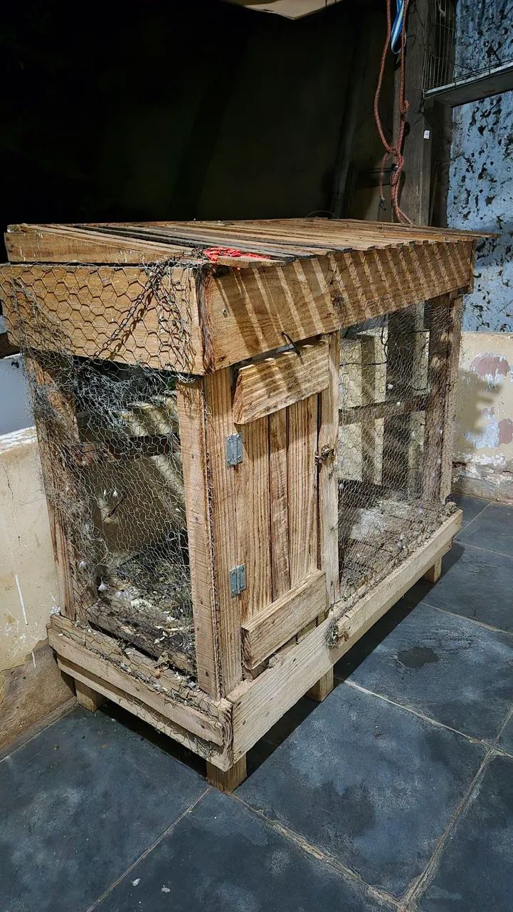 Viveiro para pássaros  - Foto 2