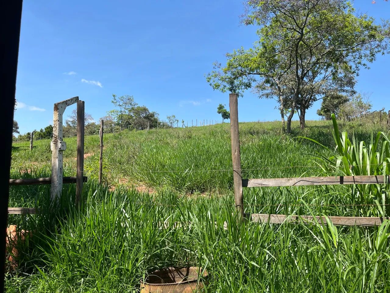 Relíquias escondidas - Foto 4