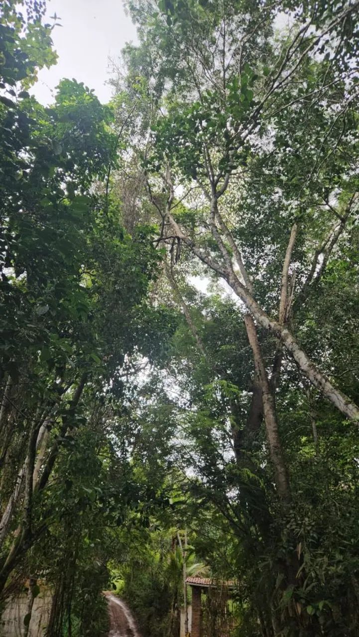 Fazenda Rio Doce 