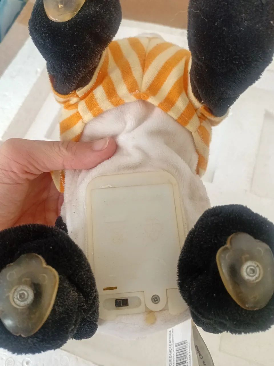 Urso Divertido. E Dança.  - Foto 3