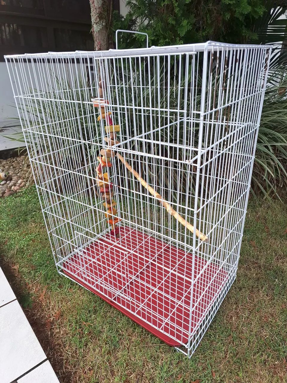 Viveiro grande para aves65093396811009122