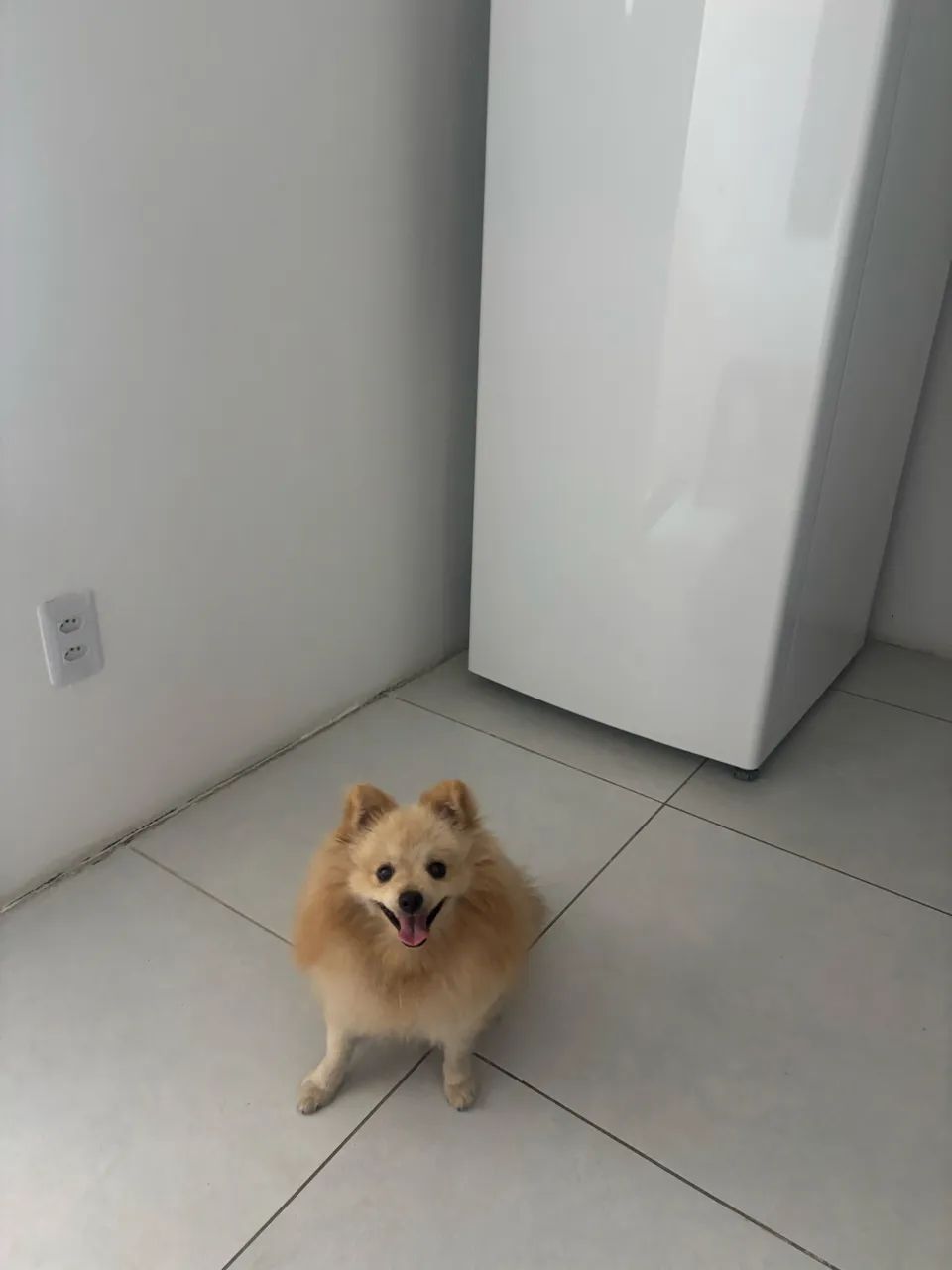Lulu  - Foto 4