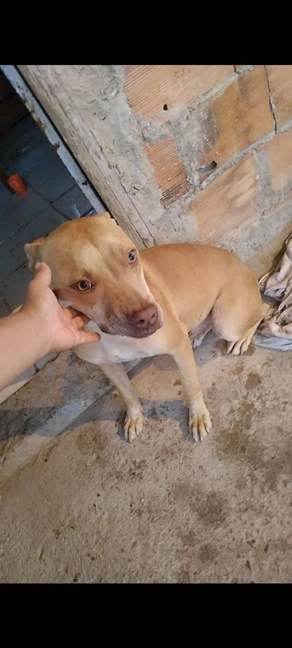 Doação 