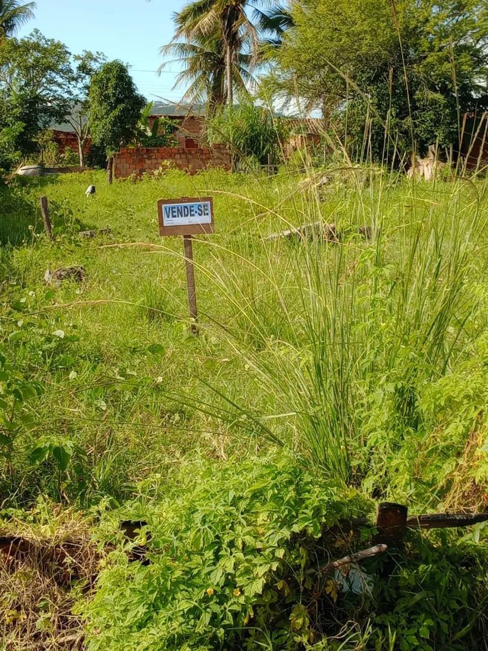 Terreno grande 