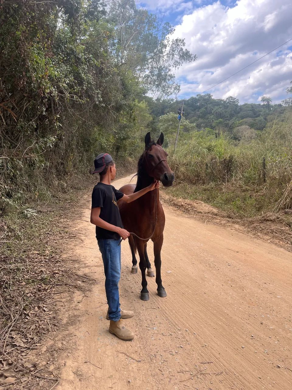 Vendo cavalo extra 