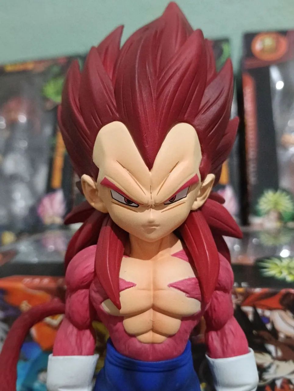 VEGETA SUPER SAIA JIM 4 