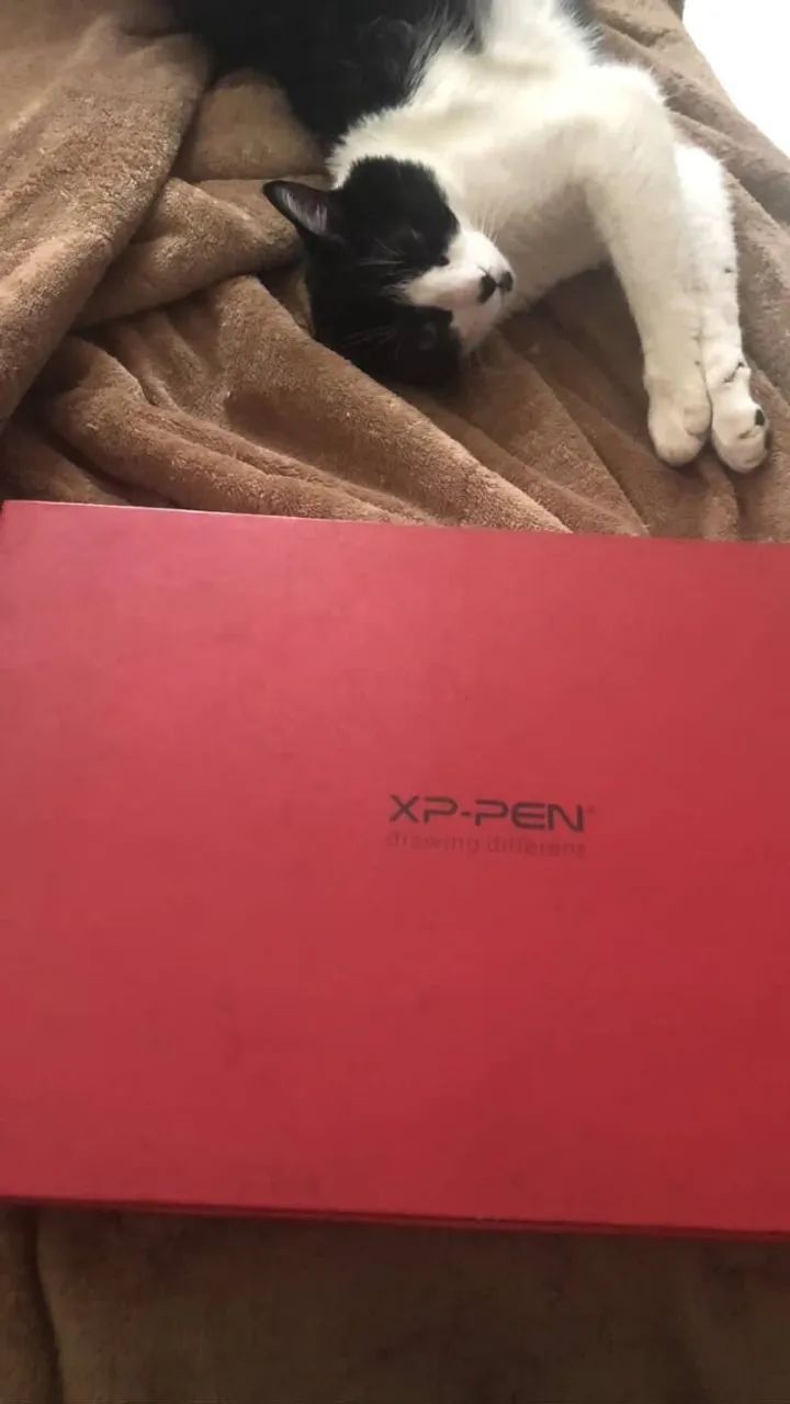 Mesa Digitalizadora XP-PEN Deco 03