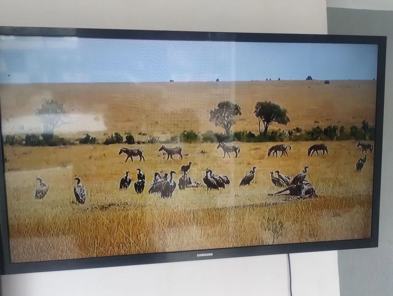 TV Samsung 32 polegadas smart para vender 