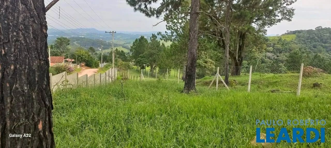 TERRENO - VITÓRIA RÉGIA - SP - Foto 4