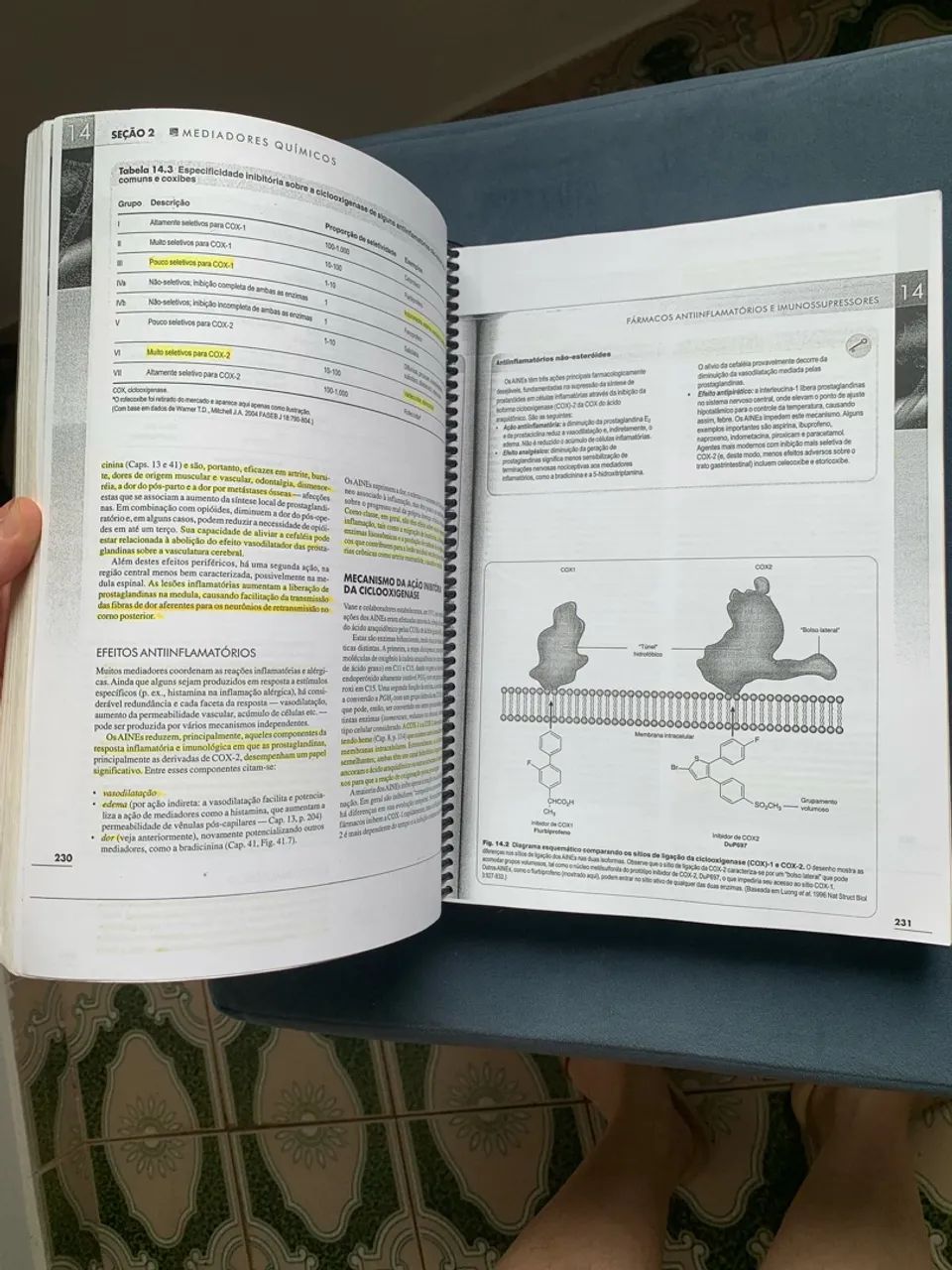 Farmacologia  - Foto 2