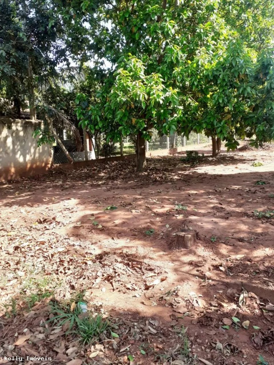 Chácara para Venda em Pirapozinho / SP no bairro Portal Do Paranapanema - Foto 7