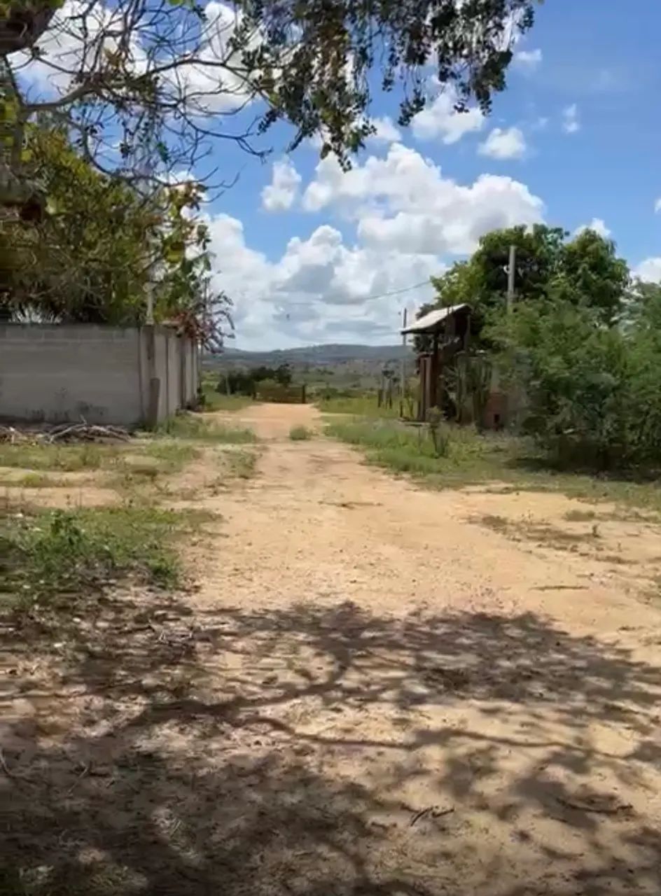 Foto - Feira de Santana - Jaíba