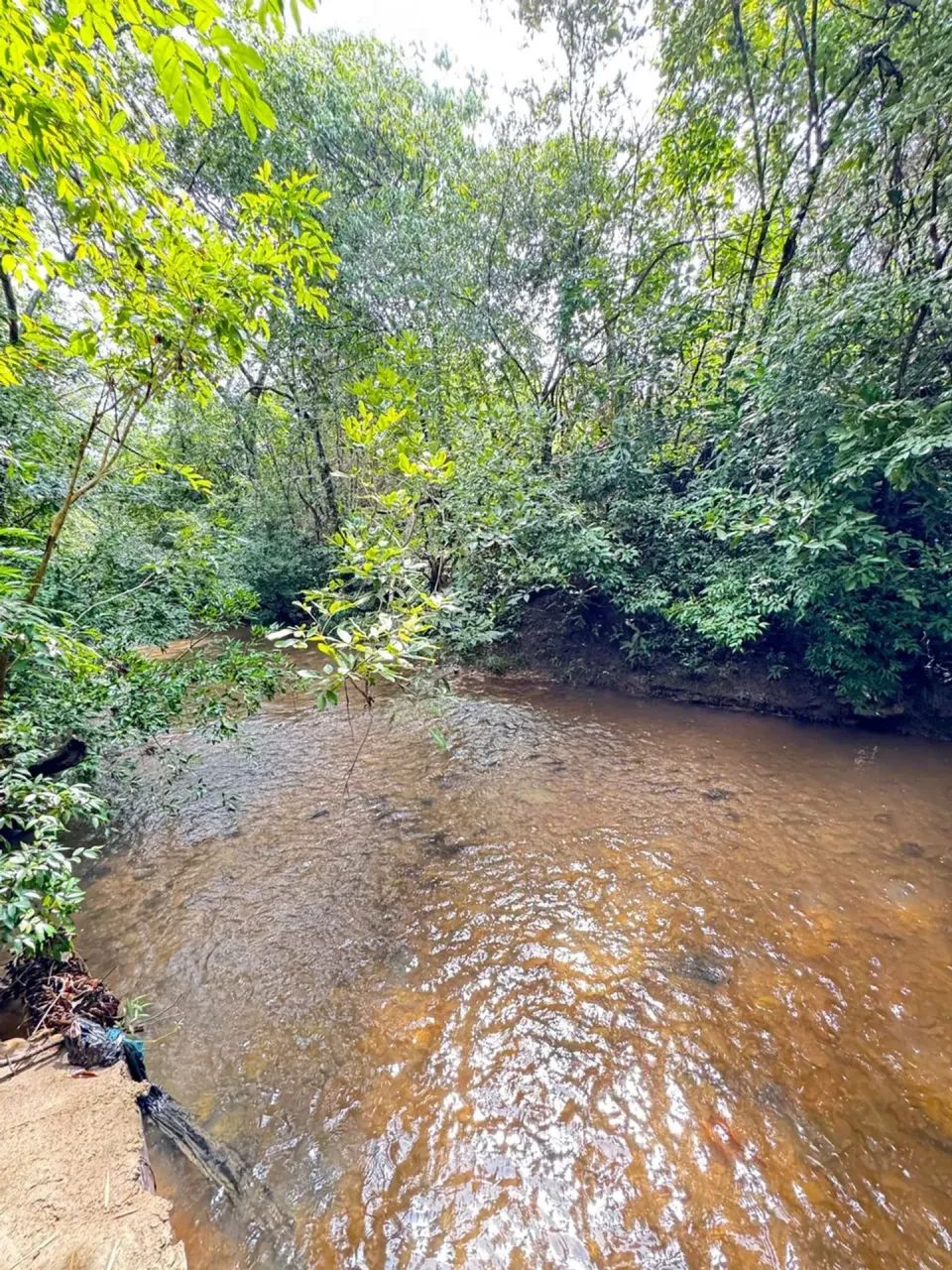 Vendo Chácara Beatriz Área: 23.796m2 - Foto 2