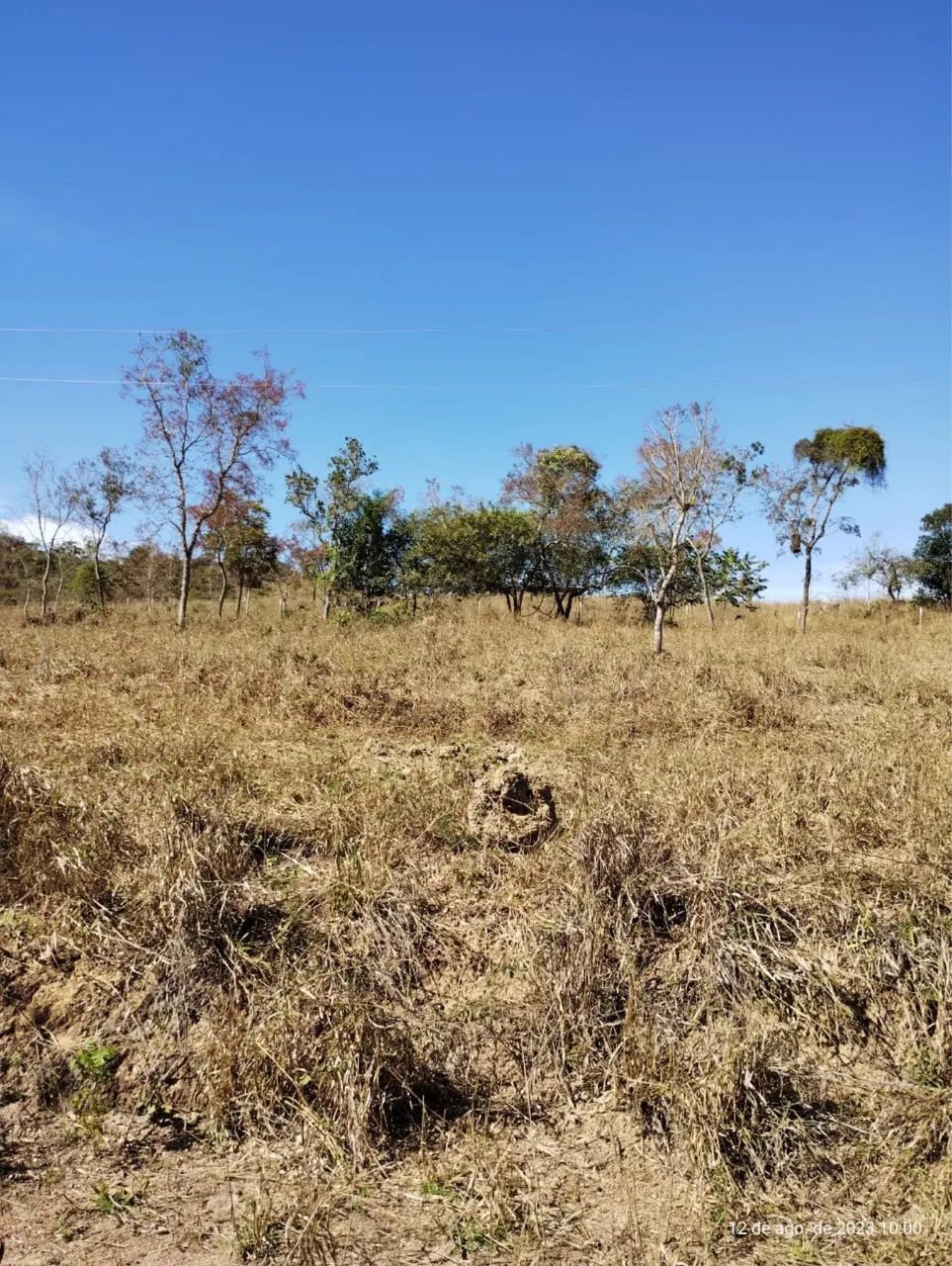 Só 25 mil o hectare - Foto 4