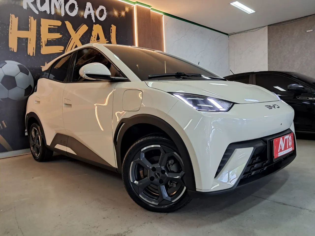 BYD Dolphin Mini (Elétrico) 2025 - Foto 2