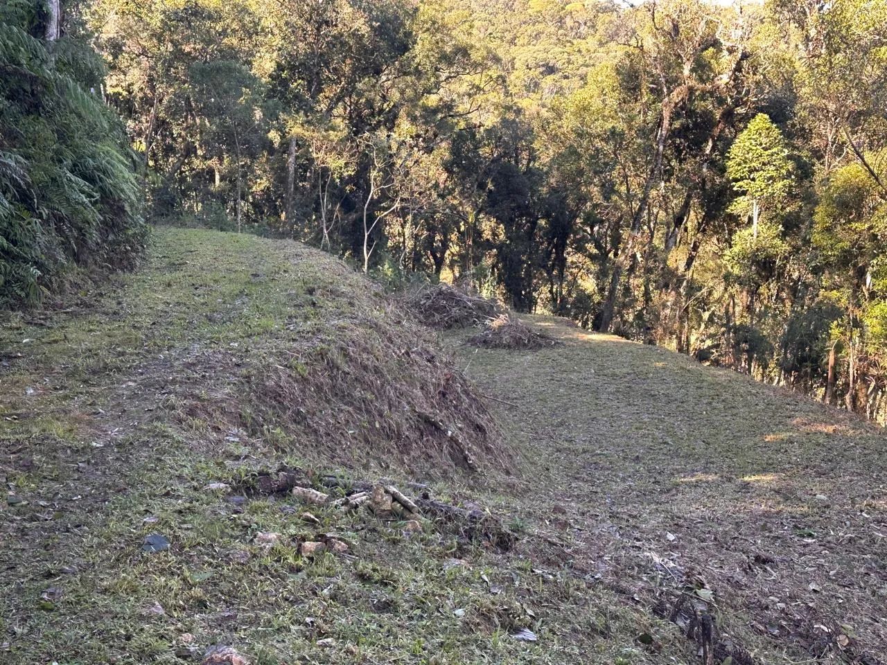 Terreno em Águas Mornas - Condomínio Rural - Foto 2