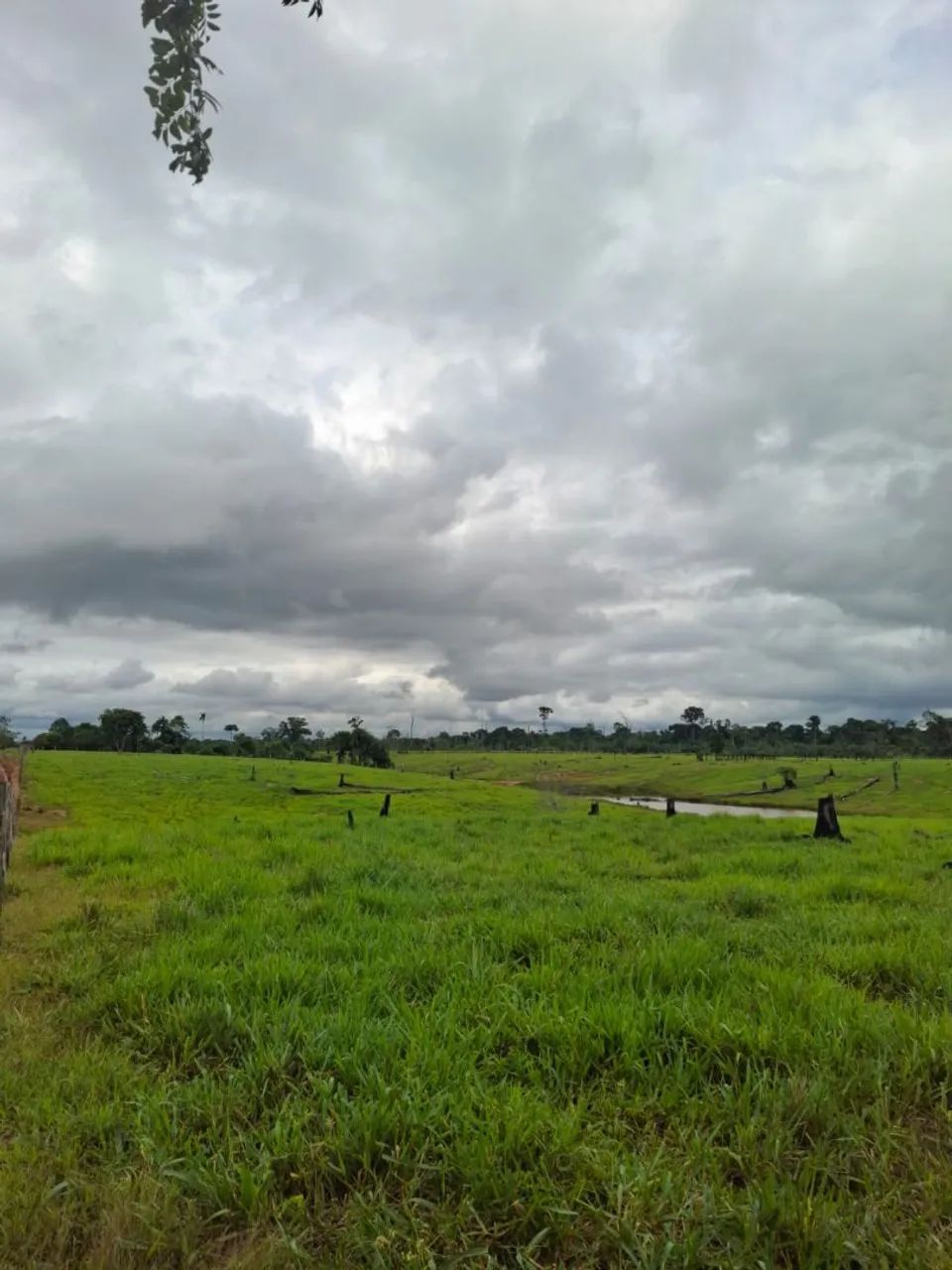 Terra -a venda oportunidade! - Foto 2