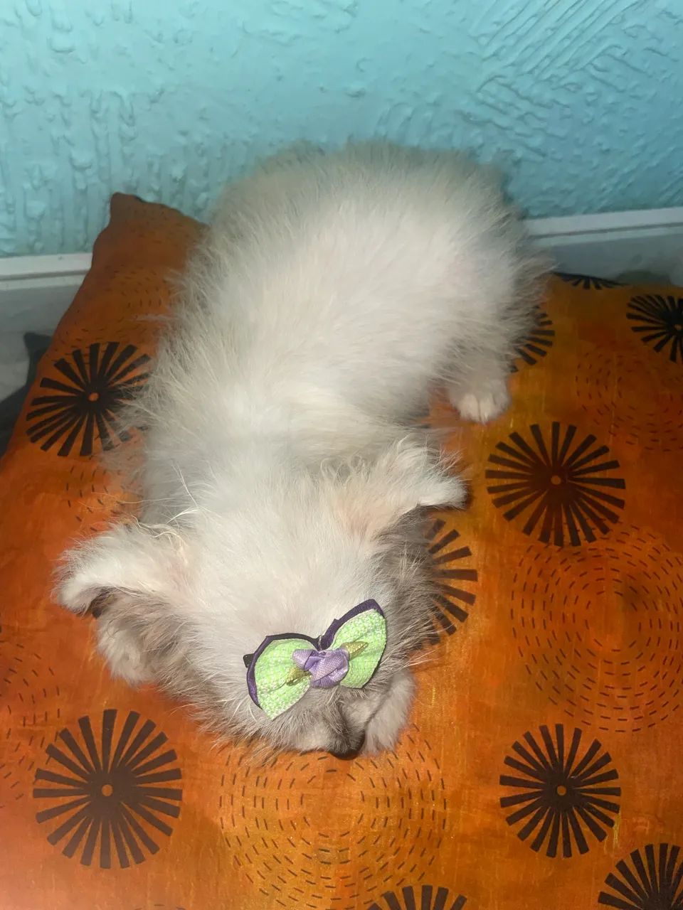 Misturinha  