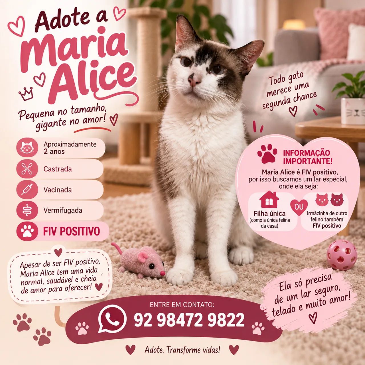 Adote uma gatinha 