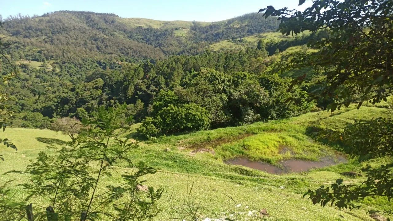 TERRENO A VENDA EM AMPARO - Foto 4