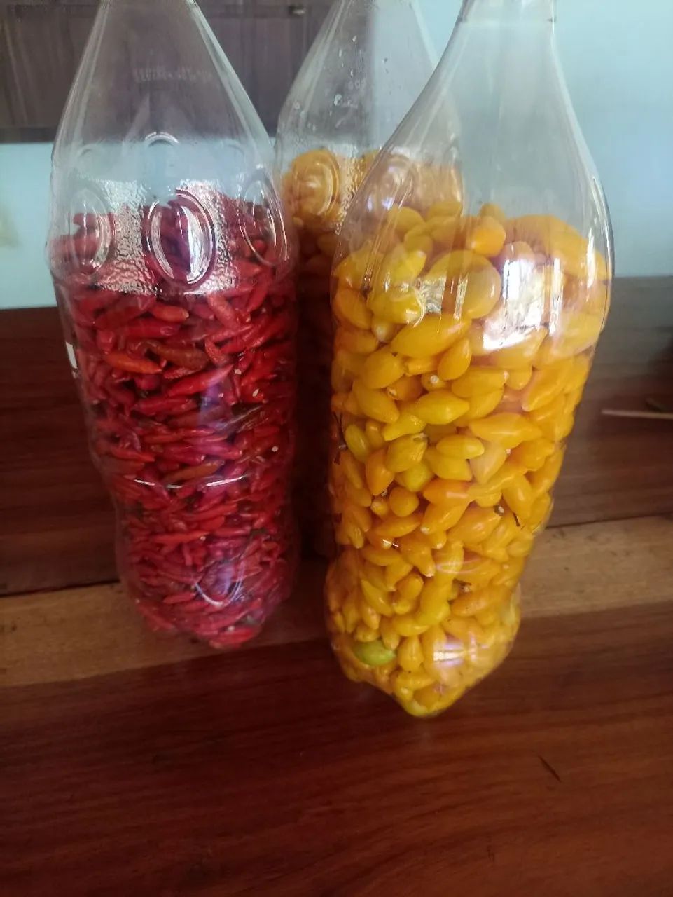 Pimentas na pet 