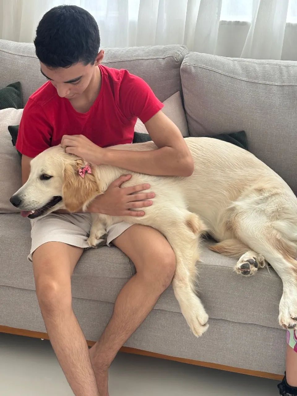 Cachorro  - Foto 3