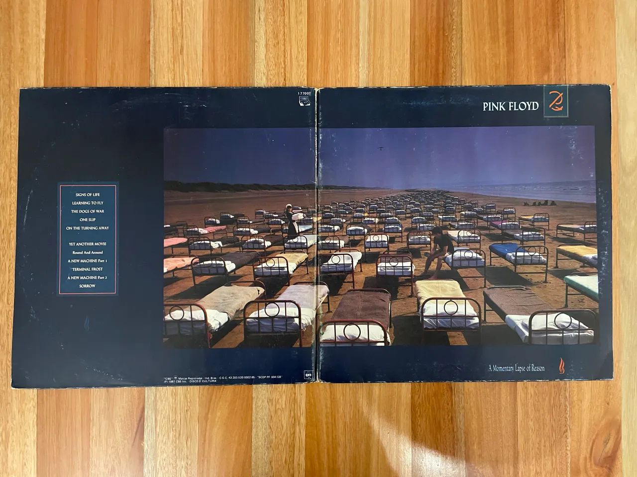 Vinil A Momentary Lapse of Reason - Pink Floyd - CDs, DVDs etc